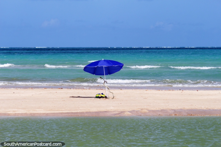 Una paragua, la arena, el mar, ¿qué más necesitas? Playa de Maragogi. (720x480px). Brasil, Sudamerica.