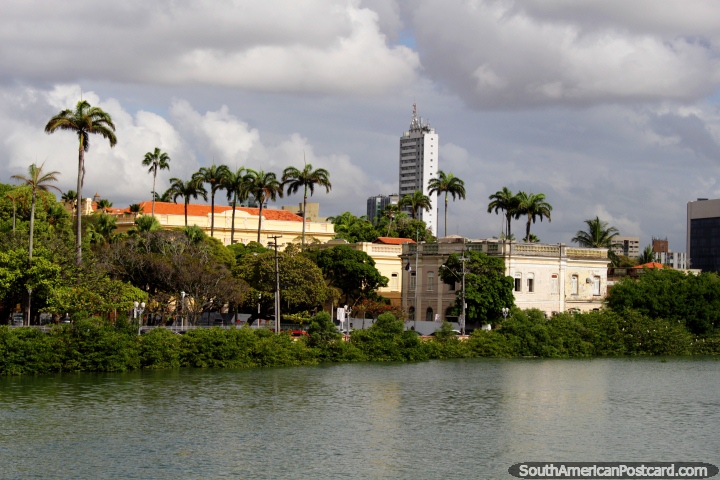 From this angle Recife looks like it is growing out of the jungle! (720x480px). Brazil, South America.