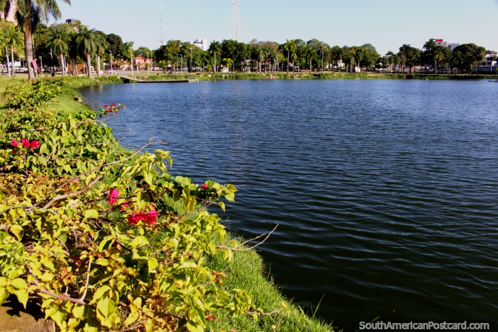 Lagoon Park (Lagoa Park) in Joao Pessoa with palm trees and grass all around it. (720x480px). Brazil, South America.
