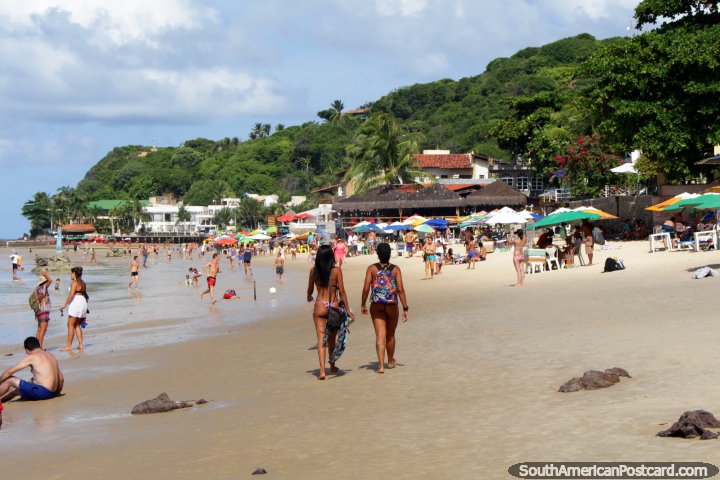 Colinas verdes y arbustos detrs de la playa hacen un buen teln de fondo en Pipa. (720x480px). Brasil, Sudamerica.