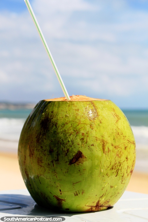 Frío jugo de coco recto directamente desde el coco mientras disfruta de la tranquilidad en Ponta Negra, Natal. (480x720px). Brasil, Sudamerica.
