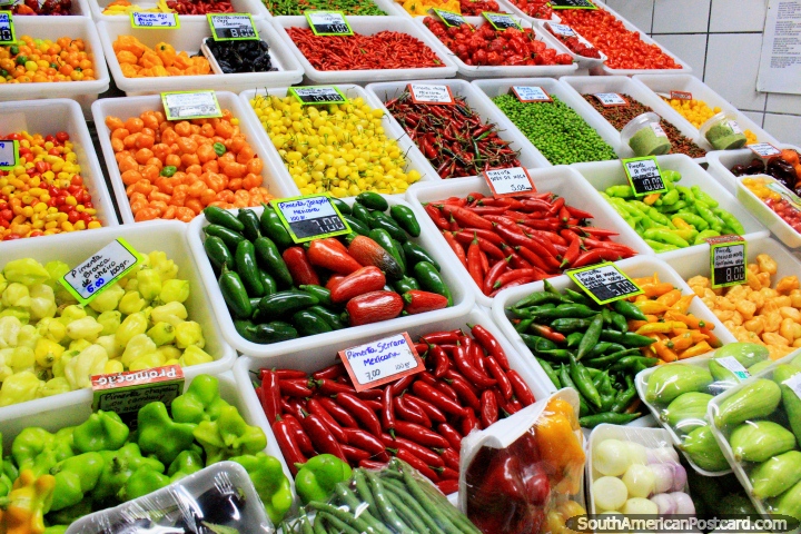 Huge range of chilies in colors of red, green, yellow and orange, Central Market, Belo Horizonte. (720x480px). Brazil, South America.