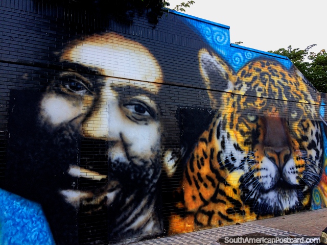 Homem e tigre, um grande trabalho de arte de rua em Brasileia, sobre a borda de Cobija na Bolvia. (640x480px). Brasil, Amrica do Sul.