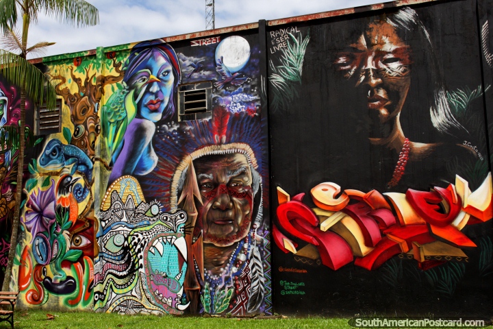 Increíble mural con rostros indígenas y un lagarto azul en Rio Branco, una obra encargada. (720x480px). Brasil, Sudamerica.