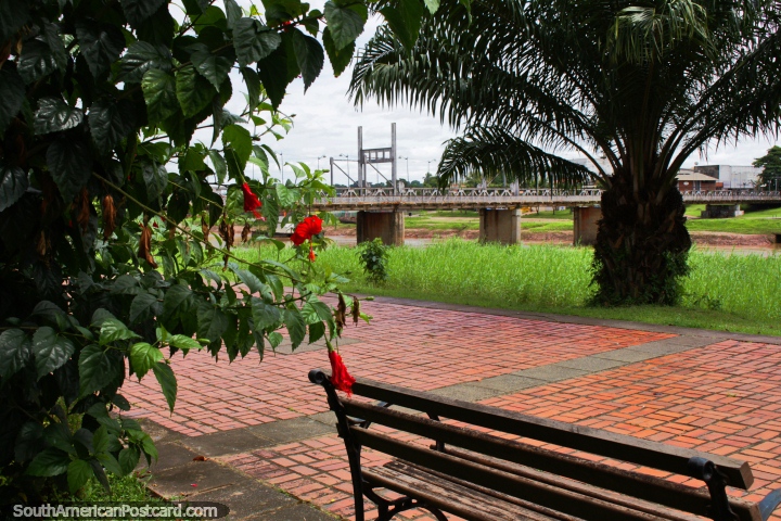 Al otro lado del puente, al otro lado del ro Acre, desde la ciudad de Ro Branco, es un buen lugar para sentarse. (720x480px). Brasil, Sudamerica.