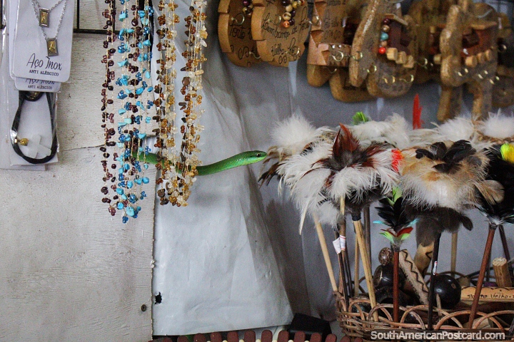 Alerta de cobra! A cobra de capelo verde escorrega na loja de ofïcios em Porto Velho, chamaram o controle de animais. (720x480px). Brasil, América do Sul.