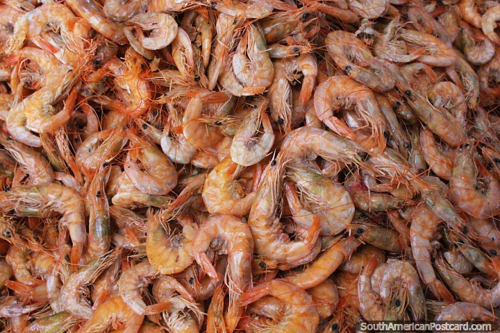 Shrimps for sale at the market in Manaus. (720x480px). Brazil, South America.