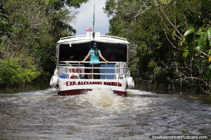 Explora los manglares en una lancha, un tour grupal en Manaus. (720x480px). Brasil, Sudamerica.