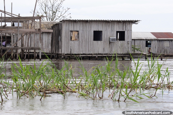 Una comunidad de casas de madera construidas sobre el agua en los humedales de Manaus. (720x480px). Brasil, Sudamerica.