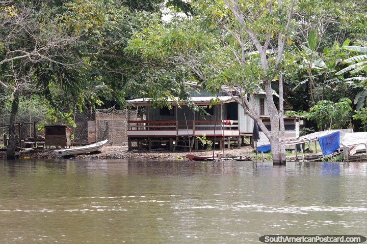 Large wooden house built on the riverbanks with the jungle behind in Manaus. (720x480px). Brazil, South America.
