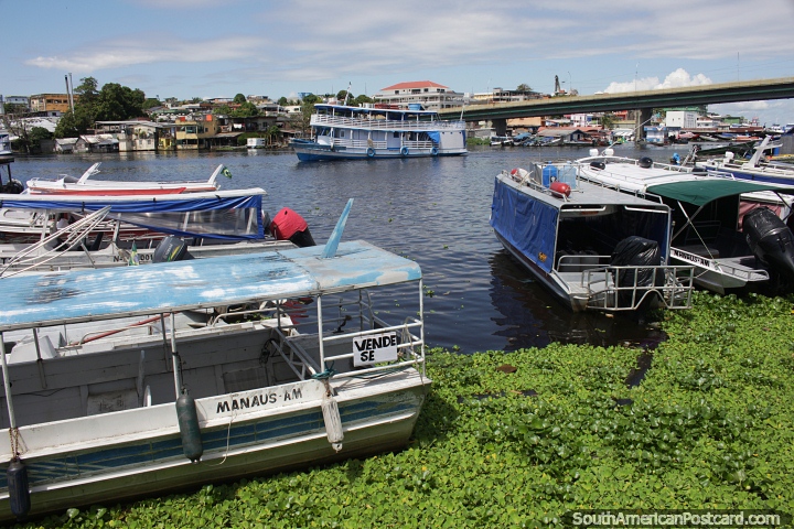 Boats moored and traveling along the Negro River in Manaus. (720x480px). Brazil, South America.