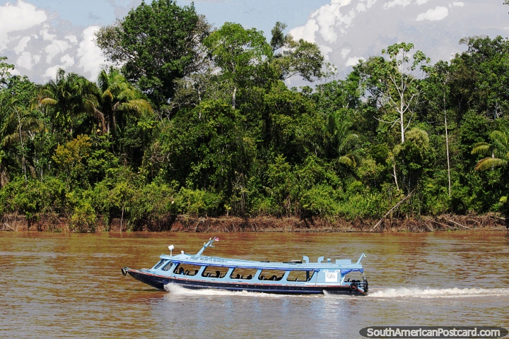 Fast passenger boat speeds up the Amazon River. (720x480px). Brazil, South America.