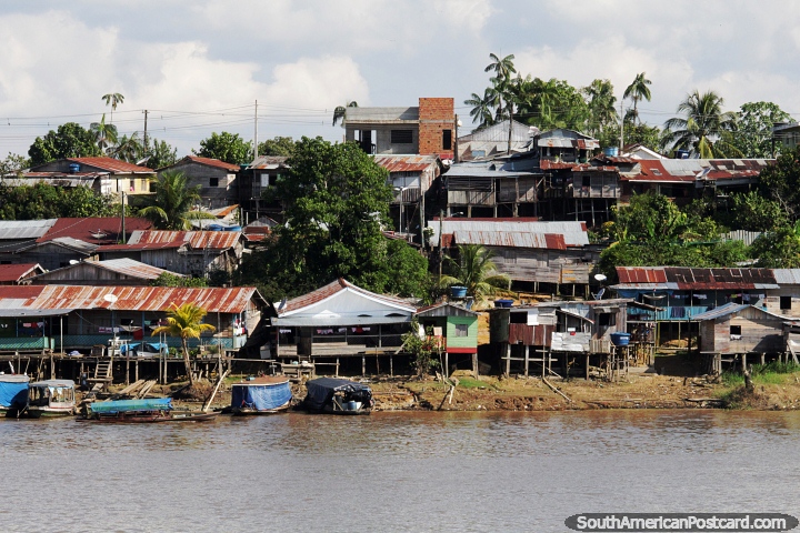 Community of wooden houses among the trees on the Amazon riverbanks. (720x480px). Brazil, South America.