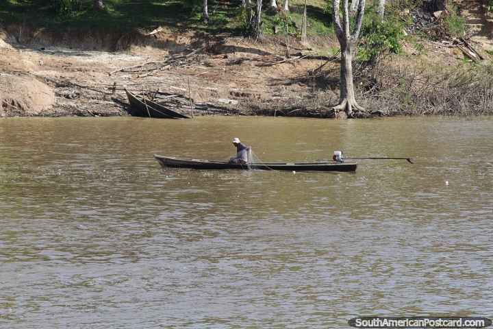 Pescador trabaja con su red desde un pequeo bote de madera en el ro Amazonas. (720x480px). Brasil, Sudamerica.
