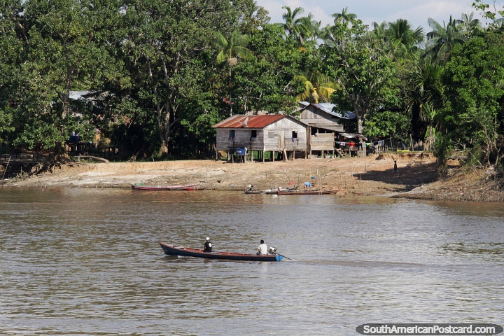 Simple wooden houses stand on a small riverside clearing beside the Amazon River. (720x480px). Brazil, South America.