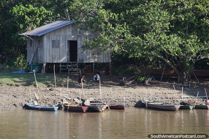 Pequenos barcos fluviais de madeira atracados nas margens do rio Amazonas em frente a uma casa. (720x480px). Brasil, Amrica do Sul.