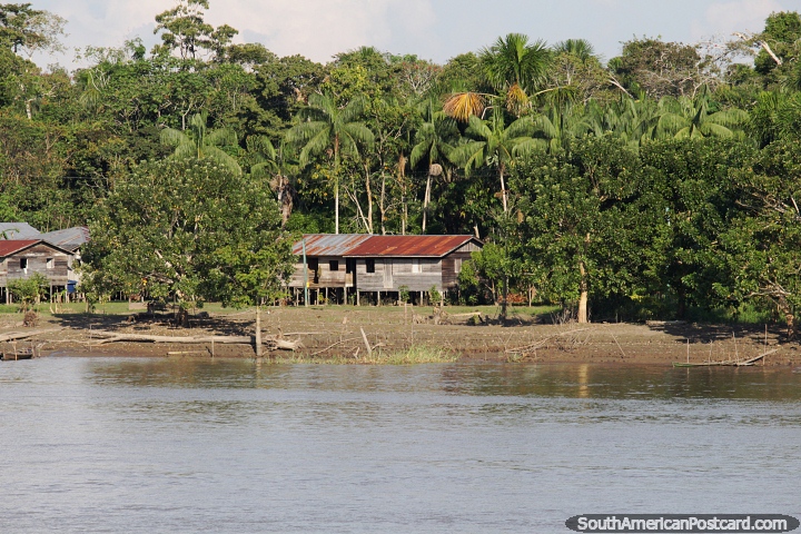 Disfrute de las vistas del Amazonas desde el ferry que sube y baja por el ro Amazonas. (720x480px). Brasil, Sudamerica.