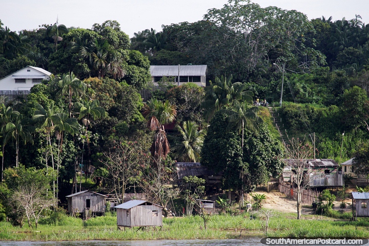 Tropical living in the green Amazon wilderness around Santo Antonio do Ica. (720x480px). Brazil, South America.