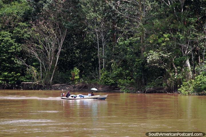 Las personas se protegen del sol bajo sombrillas mientras viajan en un pequeo bote en el Amazonas. (720x480px). Brasil, Sudamerica.