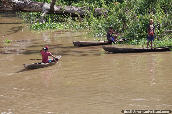 Meninos pescando em suas canoas de madeira esculpidas  mo na Amaznia. (720x480px). Brasil, Amrica do Sul.