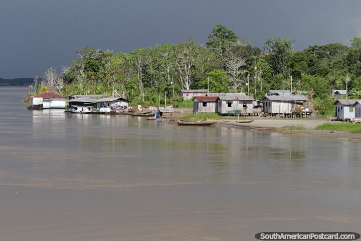 Simple houses on the edge of the Amazon river with dense jungle behind. (720x480px). Brazil, South America.