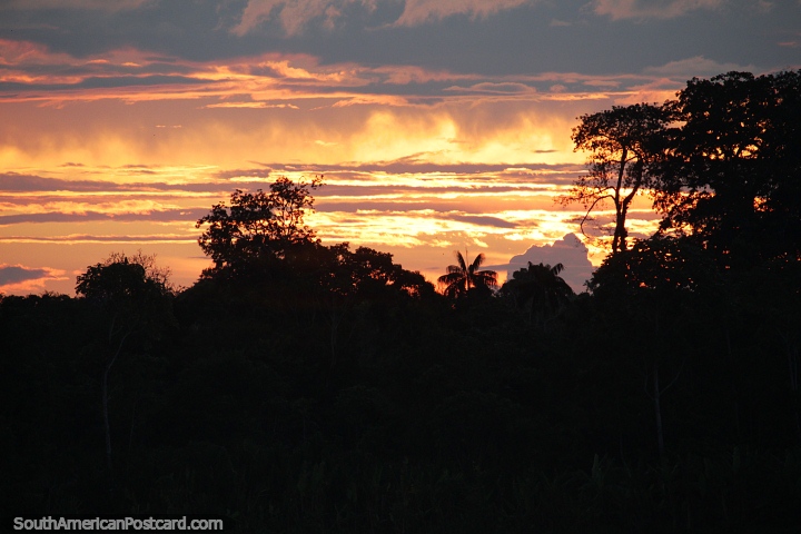 Atardecer ardiente en Jutai en el Amazonas. (720x480px). Brasil, Sudamerica.