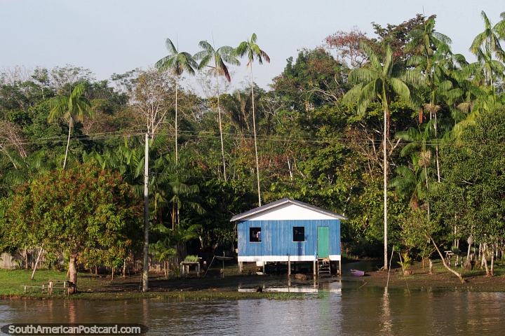 Blue house on the edge of the Amazon rainforest around Tefe. (720x480px). Brazil, South America.