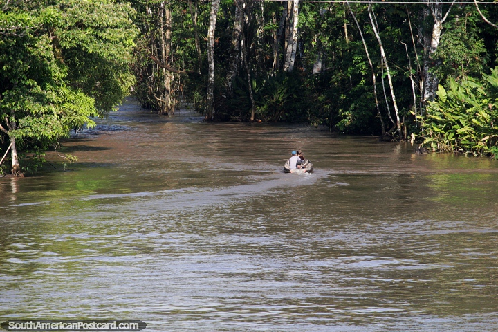 Riverboat speeds away into the dense jungle river system. (720x480px). Brazil, South America.