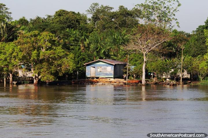 Neighborhood of jungle houses with wooden planks at the front, the Amazon. (720x480px). Brazil, South America.