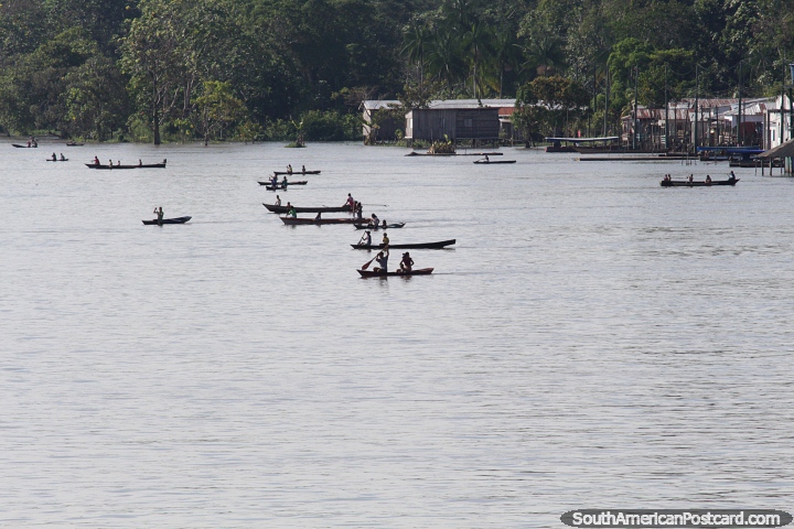 Children of an indigenous village paddle canoes out to the passenger ferry in the Amazon. (720x480px). Brazil, South America.