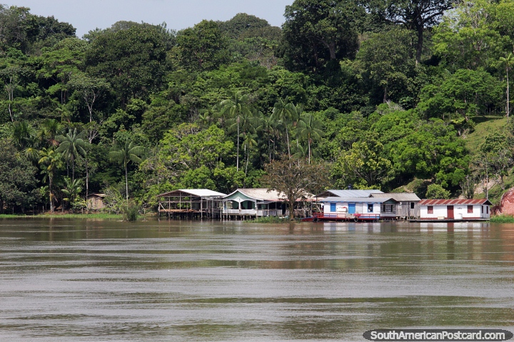 Group of houses on the waters edge of the Amazon River. (720x480px). Brazil, South America.