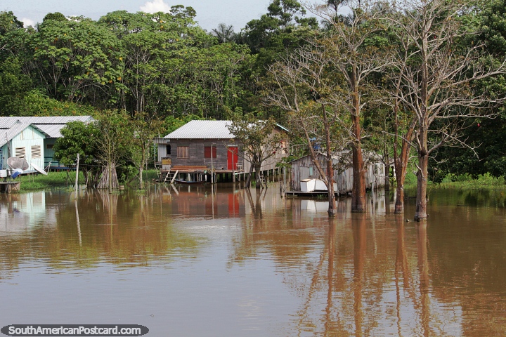 Aguas de ro ms altas de lo normal con pastizales convertidos en humedales en la Amazona. (720x480px). Brasil, Sudamerica.