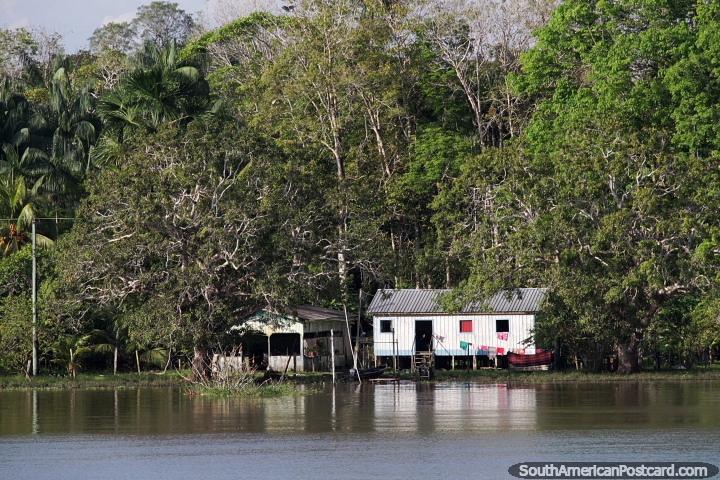 Living in peace in nature in a house on the Amazon River. (720x480px). Brazil, South America.