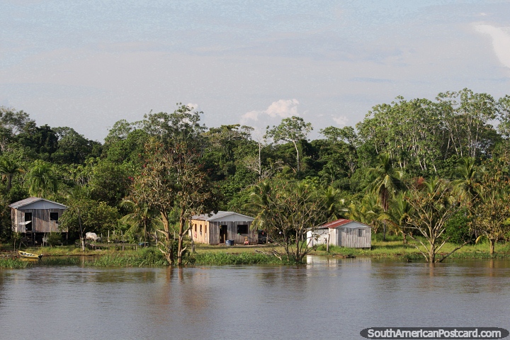 Self-sufficient living in the Amazon wilderness beside the river. (720x480px). Brazil, South America.