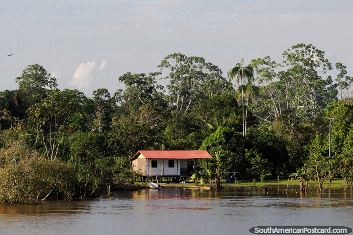 Bonita propiedad y casa en el Amazonas con electricidad. (720x480px). Brasil, Sudamerica.