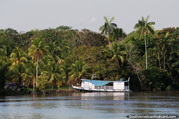 Lancha atrac frente a una propiedad al lado del ro Amazonas entre Tefe y Manaus. (720x480px). Brasil, Sudamerica.
