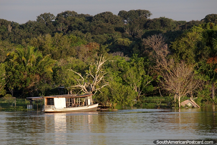 Boat in front of the vast green Amazon jungle. (720x480px). Brazil, South America.