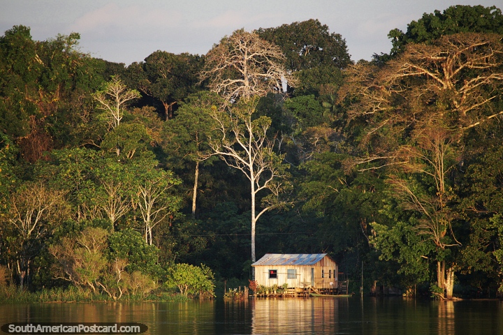 Jungle glowing above a house with the last light of the day in the Amazon. (720x480px). Brazil, South America.