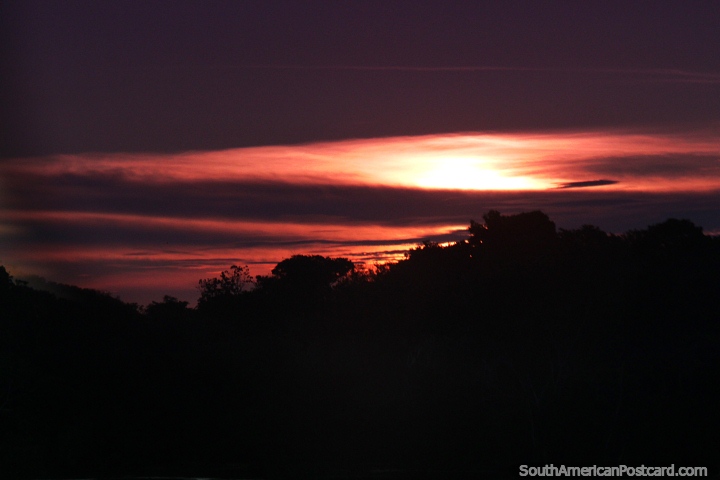 Burgundy colored sunset over the Amazon rainforest.  (720x480px). Brazil, South America.