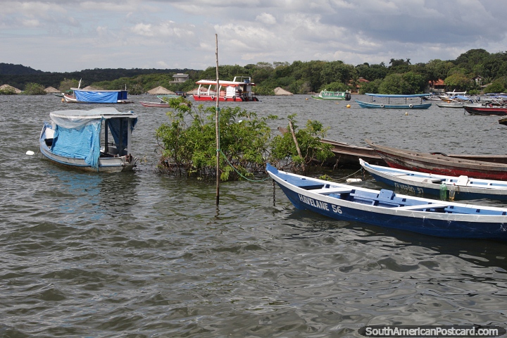 Many boats moored in the bay at Alter do Chao. (720x480px). Brazil, South America.