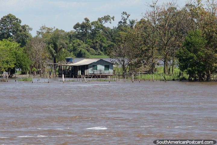 Fences around grassland submerged under water beside a house in the Amazon. (720x480px). Brazil, South America.