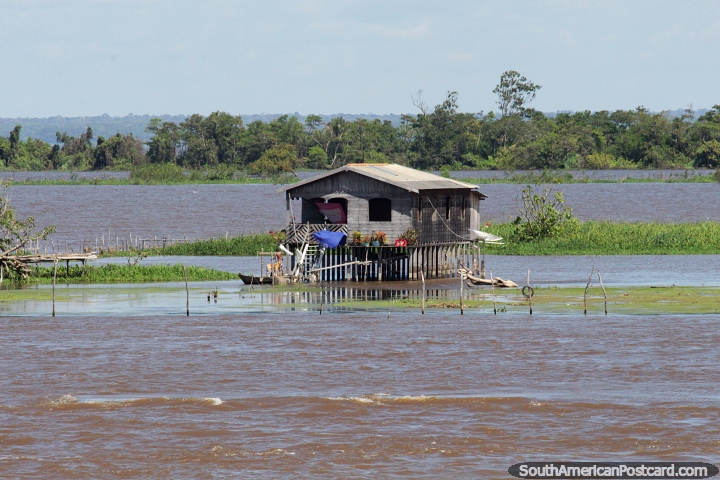 Casa de madeira fica em um forte conjunto de palafitas no meio do rio Amazonas a leste de bidos. (720x480px). Brasil, Amrica do Sul.