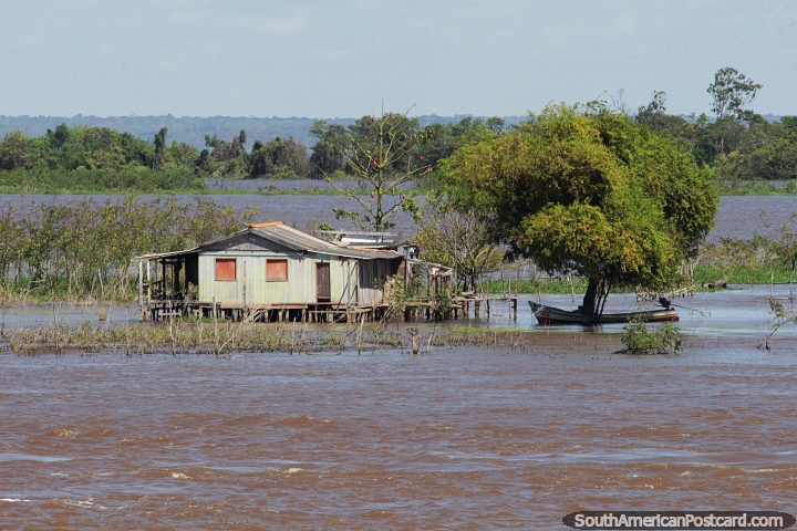 House and property in the Amazon surrounded by the river, a boat under a tree. (720x480px). Brazil, South America.