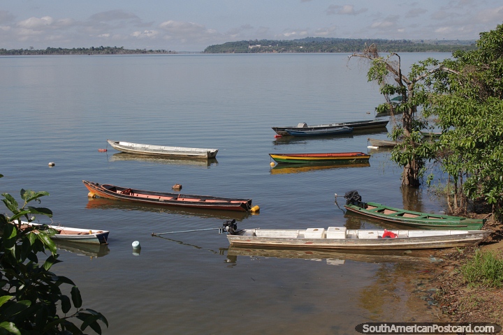 Pequeas embarcaciones de madera amarradas al borde del ro Xingu en Altamira. (720x480px). Brasil, Sudamerica.