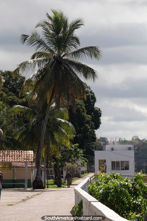 Walkway along the riverfront with palm trees and open spaces in Altamira. (480x720px). Brazil, South America.