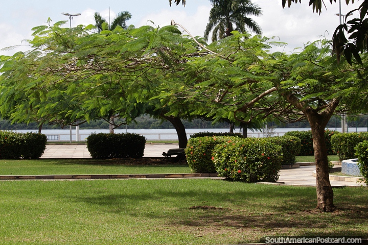 Park area with trees in front of the river in Altamira. (720x480px). Brazil, South America.