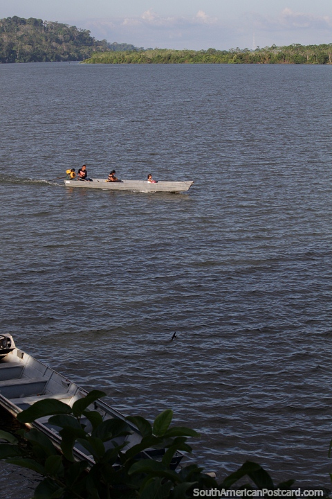 Velocidade em famlia ao longo do rio Amazonas em Altamira. (480x720px). Brasil, Amrica do Sul.