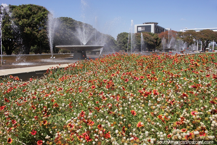 Plaza Buriti (1957), jardines de flores y fuentes, Brasilia. (720x480px). Brasil, Sudamerica.