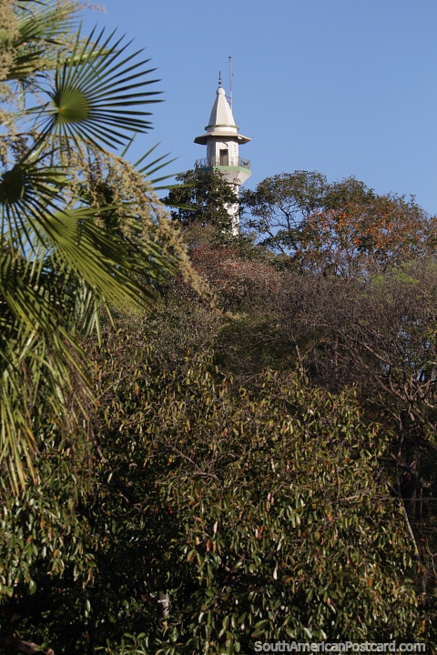 Central Mosque tower on the hill of Morro da Luz Park in Cuiaba. (480x720px). Brazil, South America.