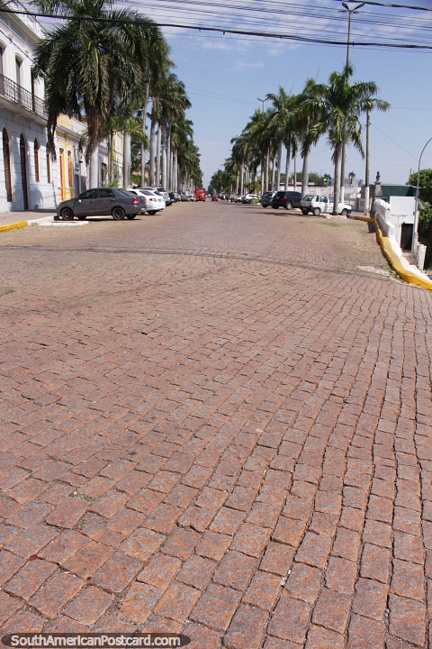 Cobblestone and palm tree lined street in Corumba. (480x720px). Brazil, South America.